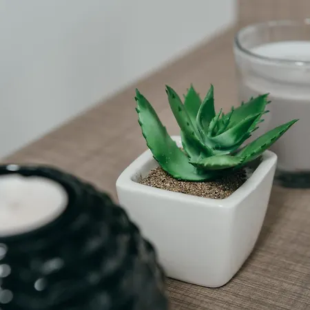 San Antonio Mobile Homes Camping Biograd Na Moru